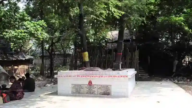 Tarapith Maha Sasan