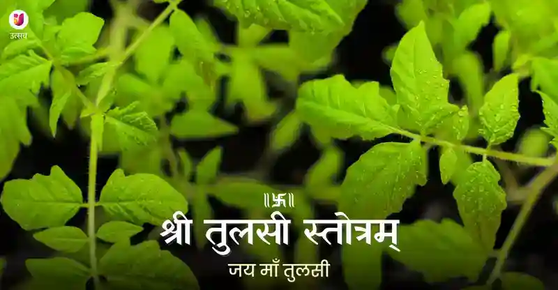 श्री तुलसी स्तोत्रम् Shri Tulsi Stotram Utsav App Complete Meaning in Hindi